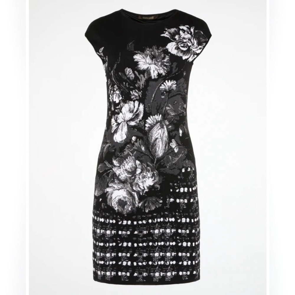 Roberto Cavalli Mini Dress With Garden Print